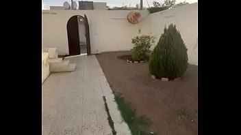 فيديو التحقق