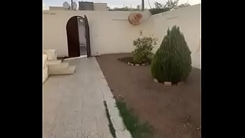 فيديو التحقق