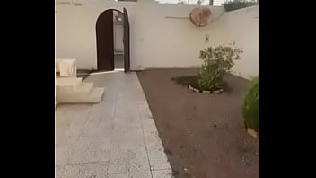 فيديو التحقق