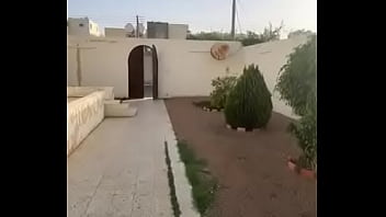 فيديو التحقق