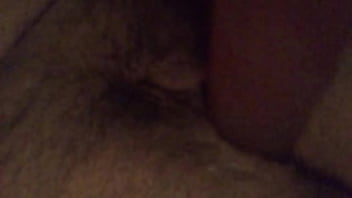 White bitch playing with toy