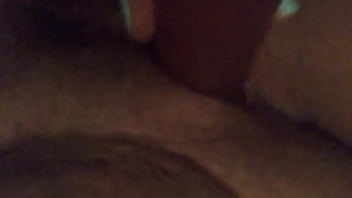 White bitch playing with toy