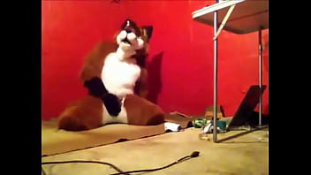 Foxy Having Some Fun thumbnail