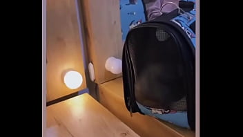 Es un buen día para salir a pasear con mi gatito a #pance