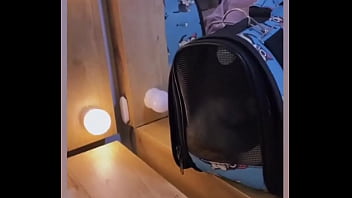 Es un buen día para salir a pasear con mi gatito a #pance