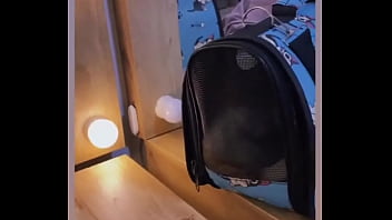 Es un buen día para salir a pasear con mi gatito a #pance