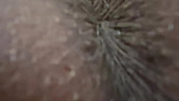 Gohardorgohomeentertainment