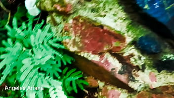 Sexo al aire real trekking en salto mariposa ú misiones me encuentro con un pedí un favor anal