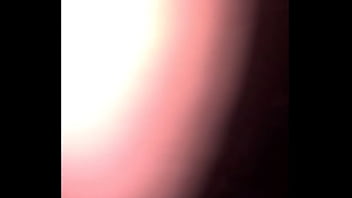 Promenons nous dans la forêt