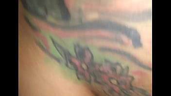 Close look at a pussy