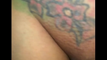 Close look at a pussy