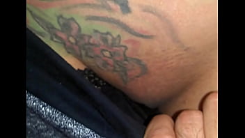 Close look at a pussy