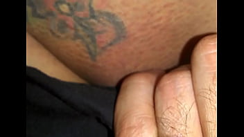 Close look at a pussy