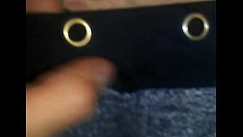 Close look at a pussy Close look at a pussy