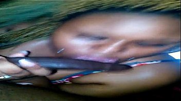 995a92ddd033a4d58471353df71f9510