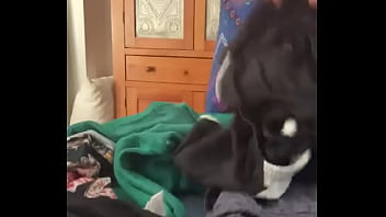 Mom loves showing her nice tits