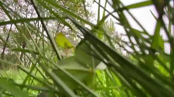 Came across a bug man in my yard not today #sizetwitter #giantess #giant #pov #mini #shruken