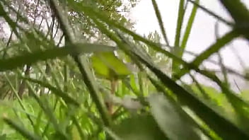 Came across a bug man in my yard not today #sizetwitter #giantess #giant #pov #mini #shruken