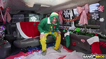 Tis the season to be horny