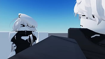 Vídeo de verificación