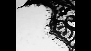 Milfsofy update #564 jun 03 2024