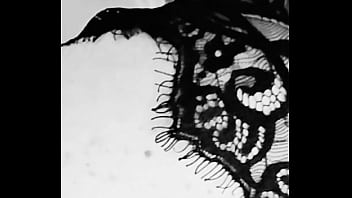 Milfsofy update #564 jun 03 2024