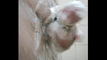 Depois de um fds tenso cheio negócio é um banho bem tomado pra relaxar #xotaawards #pintosaward #punheta #littledick