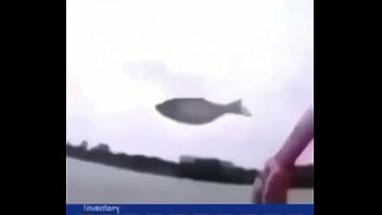 "звуки дождика"