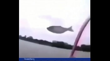 "звуки дождика"