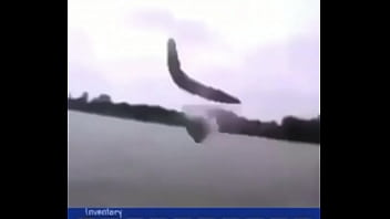 "звуки дождика"