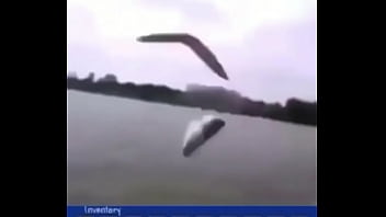 "звуки дождика"