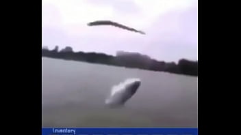 "звуки дождика"