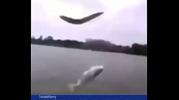 "звуки дождика"