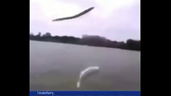 "звуки дождика"