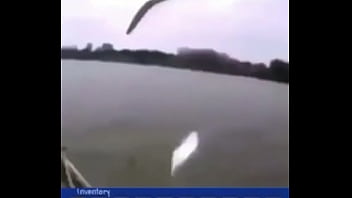 "звуки дождика"