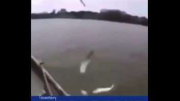 "звуки дождика"