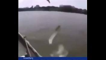 "звуки дождика"