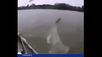 "звуки дождика"