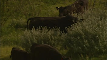 Brooke ballentyne fucks a hired ranch hand by the fireside outdoors sqf