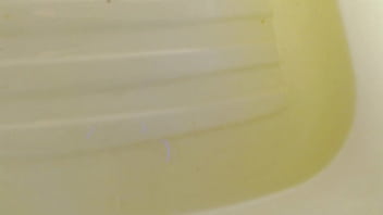 Dawnskye1962 update #145 1304 shondel returns for more of dawn's pee and cum plus special surprise oct 21 2025