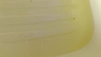 Dawnskye1962 update #145 1304 shondel returns for more of dawn's pee and cum plus special surprise oct 21 2025