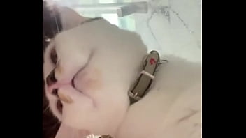 Why is this app so wild anyways this is momo