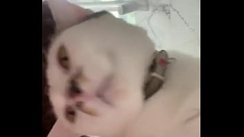 Why is this app so wild anyways this is momo