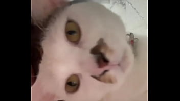 Why is this app so wild anyways this is momo