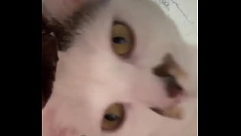 Why is this app so wild anyways this is momo