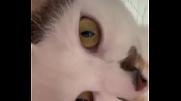 Why is this app so wild anyways this is momo