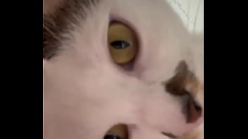 Why is this app so wild anyways this is momo