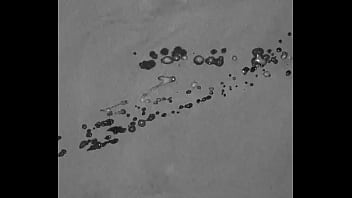 Sperm donation Sperm donation