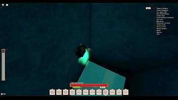 Dsage is cracked roblox