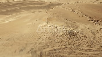 סרטון אימות